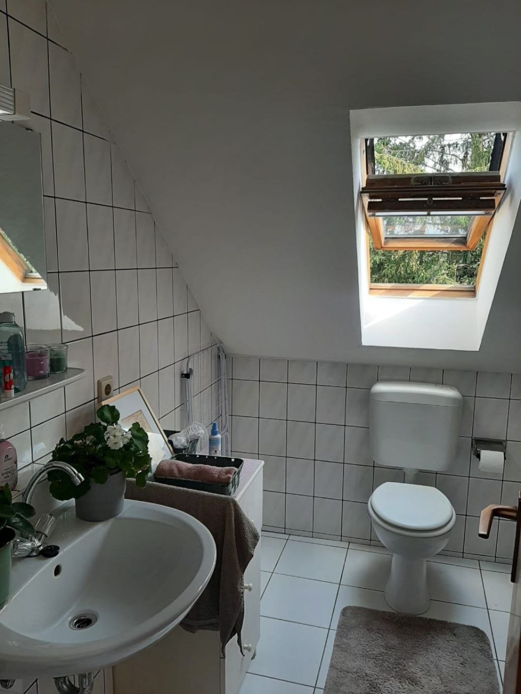 7dea3faa5338e586d7dd1c84b070efe960ab58fd770558c9f925d948c97b489b_photo_2025_08_06_22_09_42.large